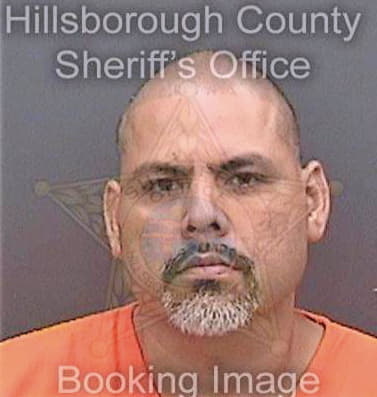 Ramirez Sergio - Hillsborough County, FL 