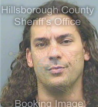 Johnson David - Hillsborough County, FL 