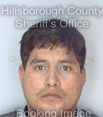 Noel Jose - Hillsborough County, FL 