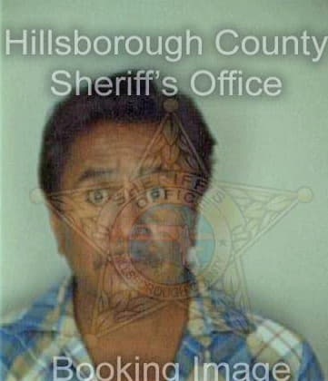 Ramirezcamacho Roberto - Hillsborough County, FL 