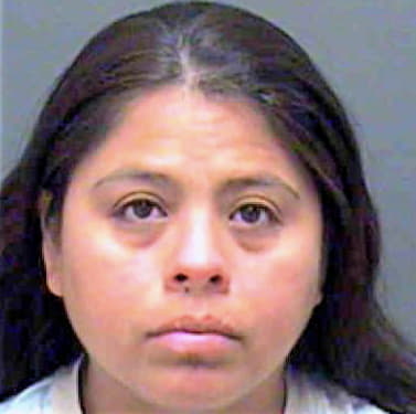 Venegas Josefina - Mecklenburg County, NC 