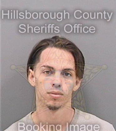 Hollingsworth Dennis - Hillsborough County, FL 