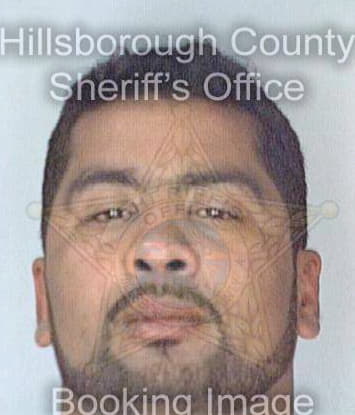 Echevarria Ivan - Hillsborough County, FL 