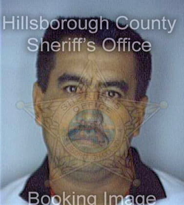 Renteria Jose - Hillsborough County, FL 