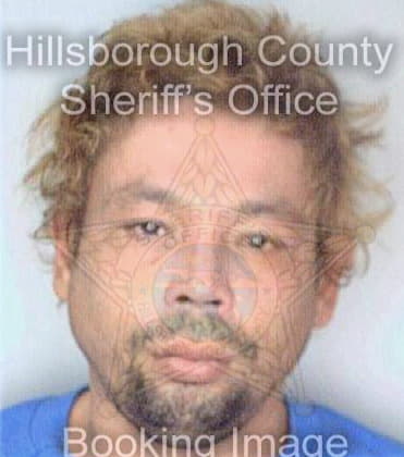 Dejesus Wilfredo - Hillsborough County, FL 