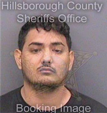 Londono Sebastian - Hillsborough County, FL 