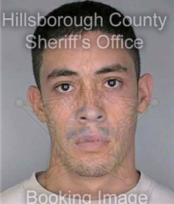 Cortes Hector - Hillsborough County, FL 