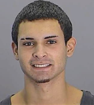 Alonso David - Pasco County, FL 