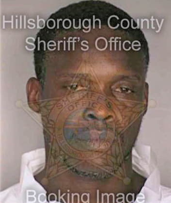 Simpson Michael - Hillsborough County, FL 