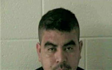 Gonzalez Hernaldo - Newton County, GA 