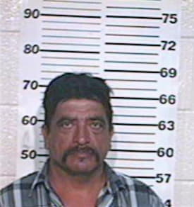 Ramirez Mario - Hidalgo County, TX 