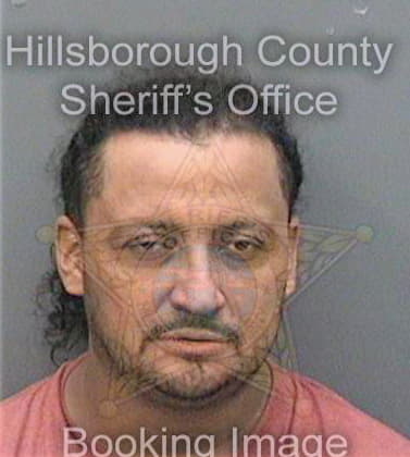 Pena David - Hillsborough County, FL 