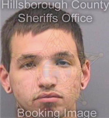 Gonzalez Gregorio - Hillsborough County, FL 