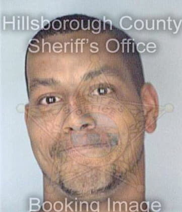 Mcdaniel Jonathan - Hillsborough County, FL 