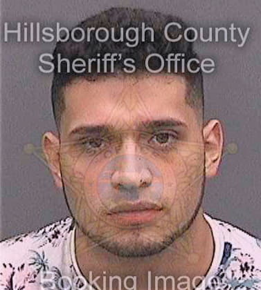 Canales-Deras Cristian - Hillsborough County, FL 