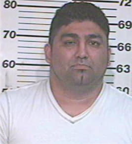 Deleon David - Hidalgo County, TX 