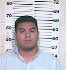 Hernandez Emmanuel - Hidalgo County, TX 