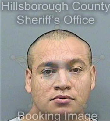 Gonzalez Jesus - Hillsborough County, FL 