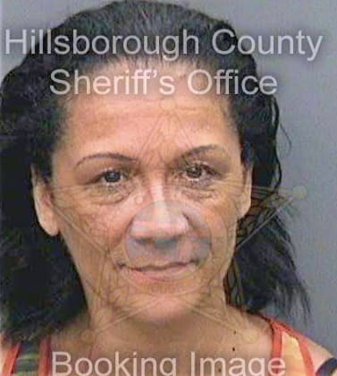 Johnson Lynette - Hillsborough County, FL 