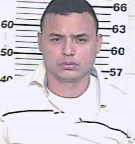 Hernandez Ramiro - Hidalgo County, TX 