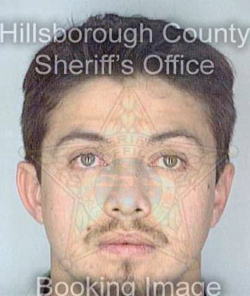 Barretto Andres - Hillsborough County, FL 