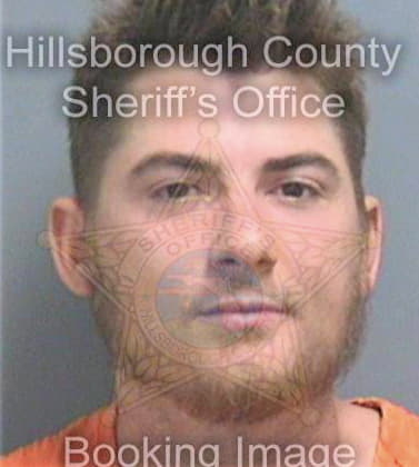 Gibson Patrick - Hillsborough County, FL 