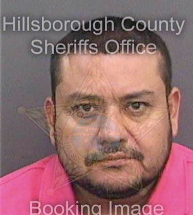 Calvosagahon Rigoberto - Hillsborough County, FL 