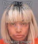 Hicks Colleen - Pinellas County, FL 