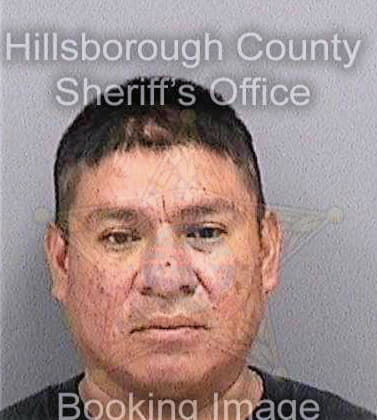 Flores Demetrio - Hillsborough County, FL 