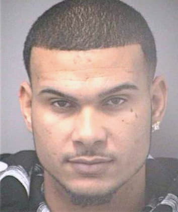 Egido Sergio - Hillsborough County, FL 