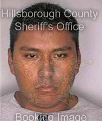 Merino Ronquillo - Hillsborough County, FL 