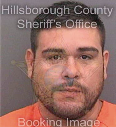 Diaz Michael - Hillsborough County, FL 