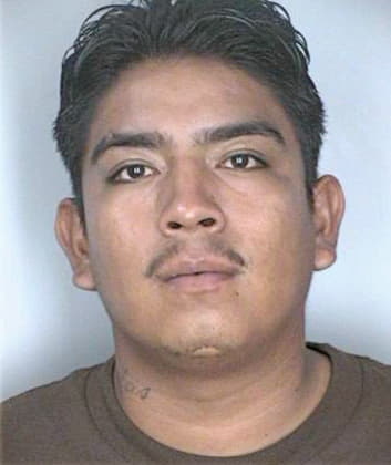 Salas Carlos - Hillsborough County, FL 