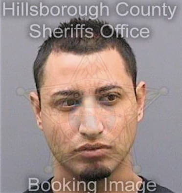 Solorionavarro Ernesto - Hillsborough County, FL 