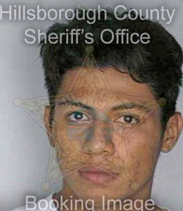 Maldonado Perdo - Hillsborough County, FL 