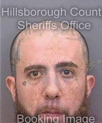 Ghaisarzadeh Shaun - Hillsborough County, FL 