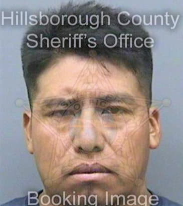 Velasquezmoralez Galindo - Hillsborough County, FL 