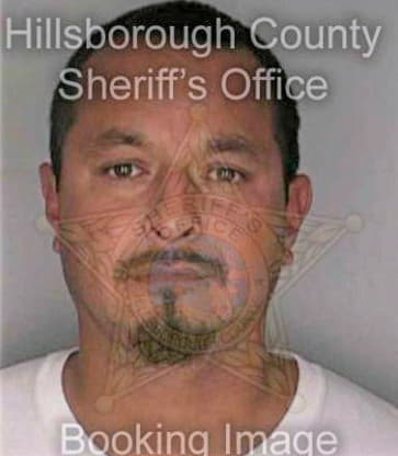 Castaneda Roy - Hillsborough County, FL 