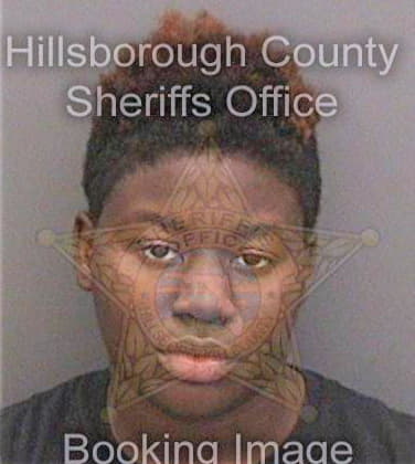Mcghee Senoia - Hillsborough County, FL 
