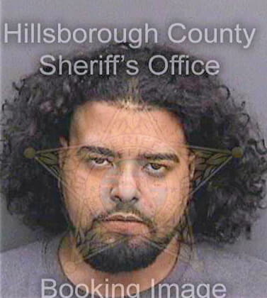 Gonzalez Jose - Hillsborough County, FL 