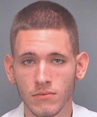 Hansen Joshua - Pinellas County, FL 