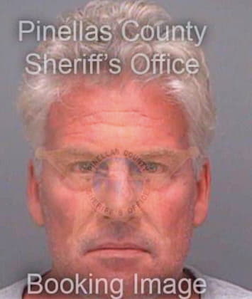 Brown Craig - Pinellas County, FL 