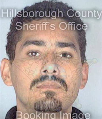 Santiago Eric - Hillsborough County, FL 