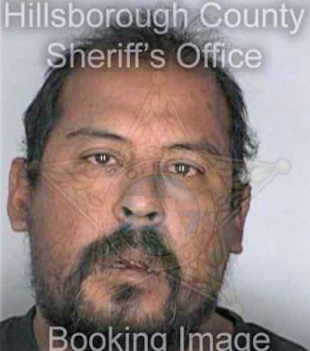 Silva Seferino - Hillsborough County, FL 