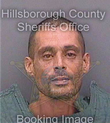 Ortiz Michael - Hillsborough County, FL 