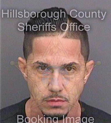 Hernandez Timothy - Hillsborough County, FL 