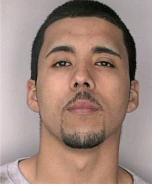 Melendez Hector - Hillsborough County, FL 