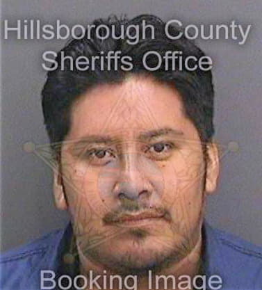 Mendozamendoza Silvano - Hillsborough County, FL 
