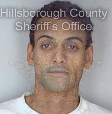 Diaz Wilfred - Hillsborough County, FL 