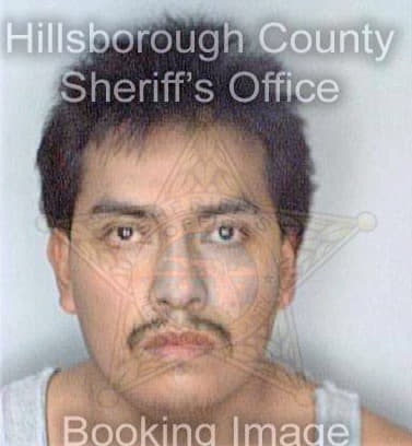 Garcia Leonardo - Hillsborough County, FL 